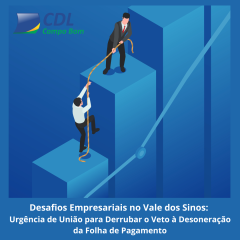 Desafios Empresariais no Vale do Sinos: